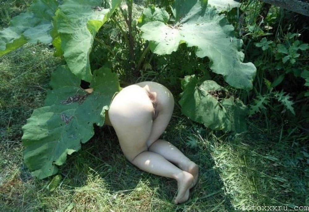 Манящая пиздёнка девушки в огороде